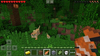 Image 0 for Minecraft
