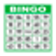 Icon of program: Bingo Caller
